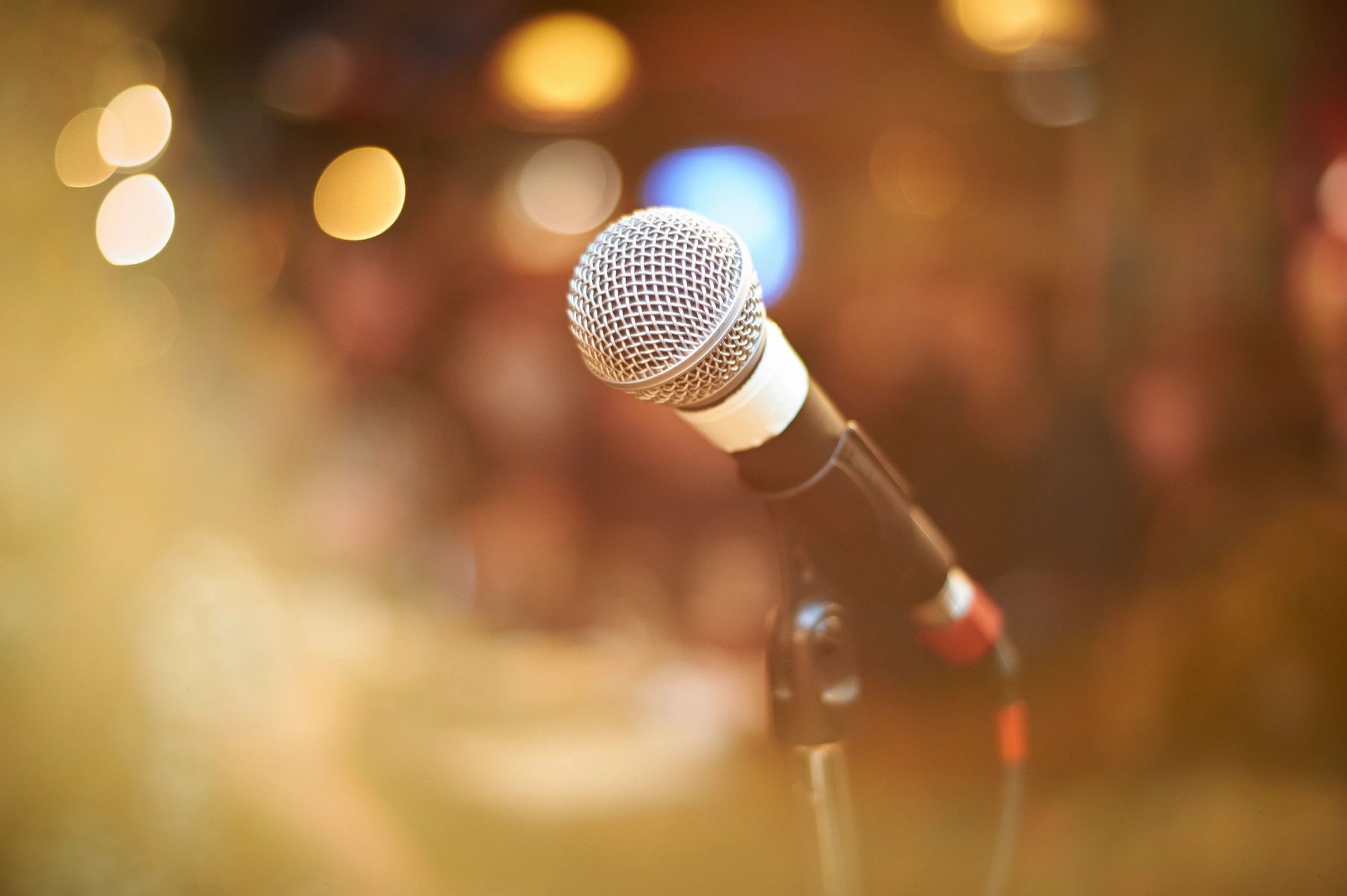 I Need a Mic